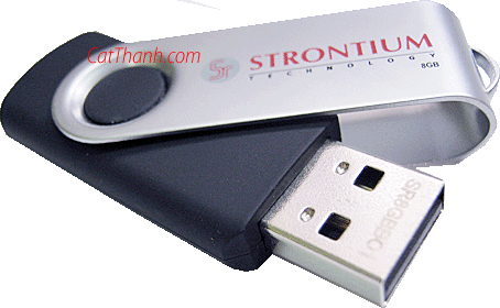 USB STRONTIUM 2Gb
