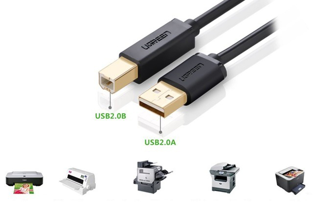 Cáp máy in USB 1,5m Ugreen UG-10350 đầu cáp mạ vàng